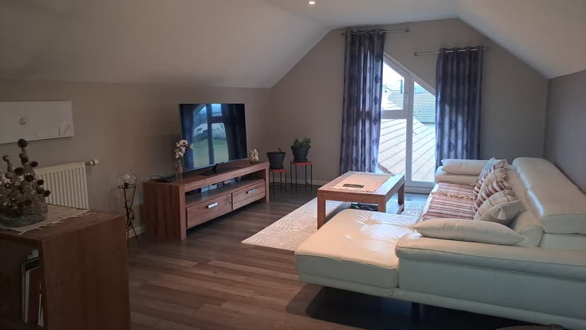 Salon de l'appartement